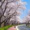 Stay 365 - Gyeongju Stay 365 - Gyeongju