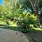 Beachfront Bliss, waterfront Geographe bay