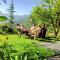 Ishan Log Huts-A boutique home stay