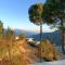 The Hill Heaven Home Stay