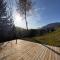 Chalet Close to Megève and the Ski Slopes - 阿尔利河畔普拉兹
