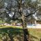 Three-Bedroom Apartment In Vodnjan
