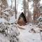 Luontovire Lumous Forest Hut - Hankasalmi