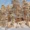 Luontovire Lumous Forest Hut - Hankasalmi