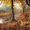 Otters Rest Executive High Spec Lodge Shorefield County Park Lymington New Forest - 米尔福德昂西