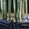 and FOREST勝浦 竹の離れ 美しい竹林に囲まれ露天風呂とSAUNAを楽しむ大人の離れ 天然鉱泉 BBQ ペット 最大8名 勝浦 - Katsuura