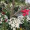 The Sacred Space - Solana Beach