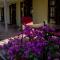 Twins Guesthouse NO LOAD SHEDDING - King Williamʼs Town