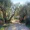 B&B Colle Perrini Country House - Casperia