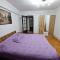 Amedeea Accomodation 2 - 蒂米什瓦拉