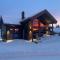 Modern ski cabin with sauna