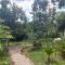Lodging Adventure La Gamba