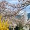 Only One group! GOOD access to Koyasan,10-min walk from Station, free bike rental, multilingual - Katsuragi