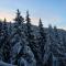 Chalet Krystal - Les Carroz d'Araches