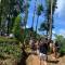 The Tea Cottage Resort & Spa