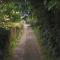 WILLOW RIDGE - a large country house with 3 rental rooms - Clutton