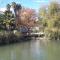 Apartamento Calle Goles