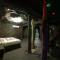 Mystery Maze Resort and Spa - Wayanad