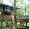 Mystery Maze Resort and Spa - Wayanad
