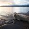 Luxury Lookout Hood Canal Vacation Rental