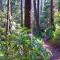 Luxury Lookout Hood Canal Vacation Rental