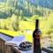 Apartment Wandegg im Bergsteigerdorf Ginzling Mayrhofen