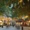 The Ginkgo Tree - Mount Pleasant