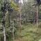 SylVan Resort - Vajanad