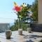 Apartment 3524-10 for 4 Pers in Brela - Brela