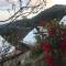 phatang sky view camp ผาตั้งสกายวิวแคมป์ - Ban Pha Tang