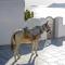 Santorini Sun Villas - Oia