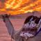 Wadi Rum Desert Heart Camp