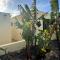 Luxury Canarian villa with large pool and guesthouse - Teguise