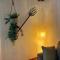 Luxury Canarian villa with large pool and guesthouse - Teguise