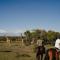 Mara Siria Tented Camp & Cottages