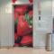Hotel Strawberry Fields