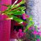 Las Flores Econativo
