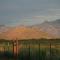25 Acre Hummingbird Ranch Birdwatching/360 MTN Views/Dark Starry Nights/Arizona - Pearce