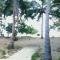 DANG dang Balbago Beach - 爱妮岛
