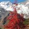 Apartment Aster by Interhome - Saas-Fee