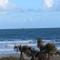 Oceanfront 2br2b, Ocean Views, Heated Pool, Spa - Cabo Cañaveral