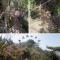 Haowangjiao Homestay
