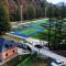WoodStar/ტყის ვარსკვლავი
