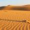 Sand dunes Camp Jaisalmer - Jaisalmer