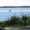 Beachfront Seagulls on Shoalhaven