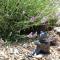 Very pleasant vacation rental with heated pool in the Luberon