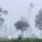Breezy point - Vagamon