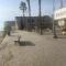 Anamor apartment 408