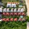 Sunrise Beach Villa