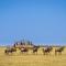 Mara Leisure Camp